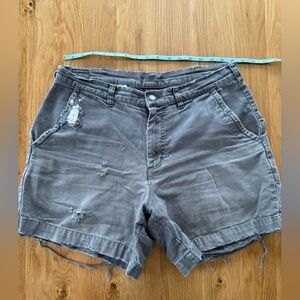 Vintage Patagonia 5" Inseam Stand Up Shorts